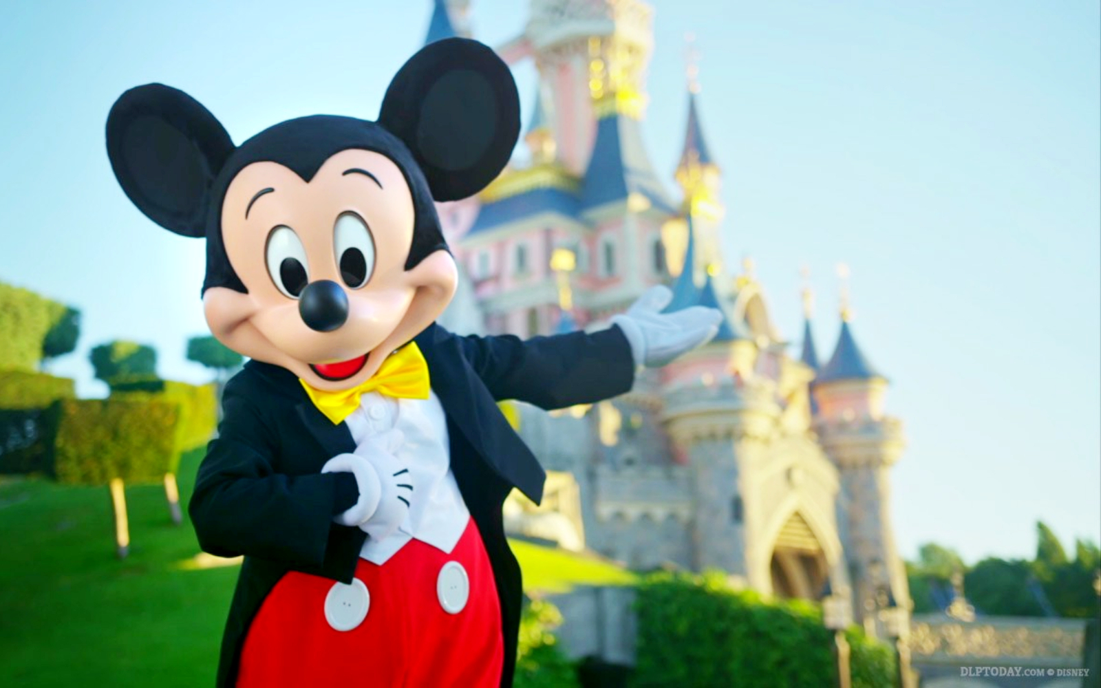 Cuantas Personas Entran A Disneyland Por Dia
