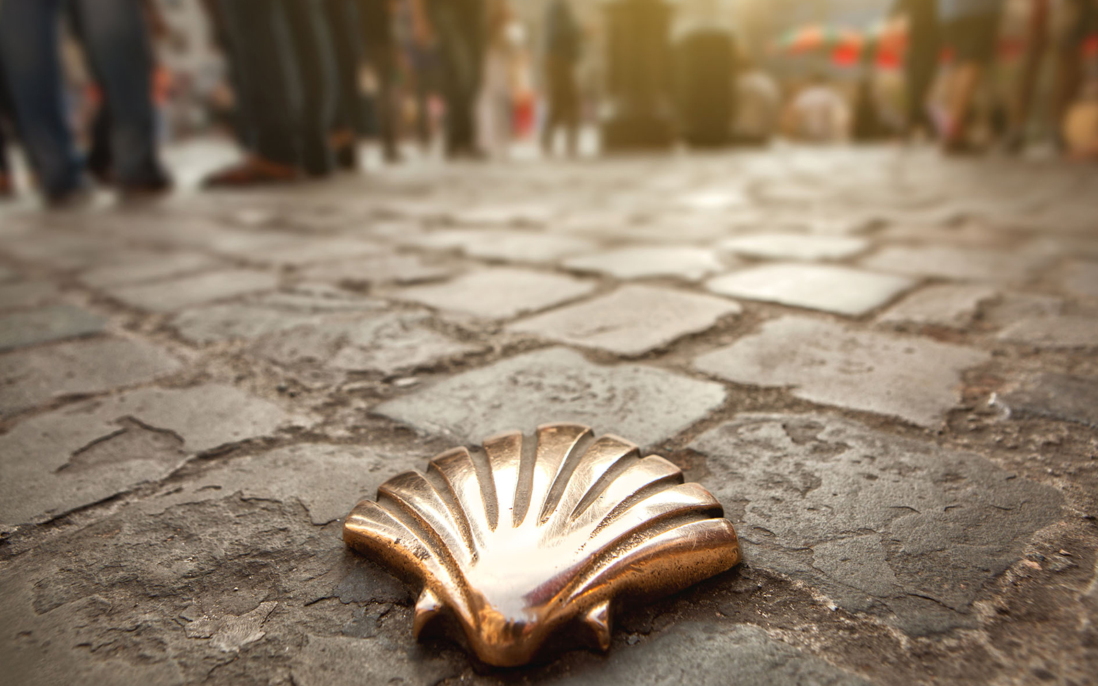 Haz el Camino de Santiago con toda tranqulidad con Infinita Eventos
