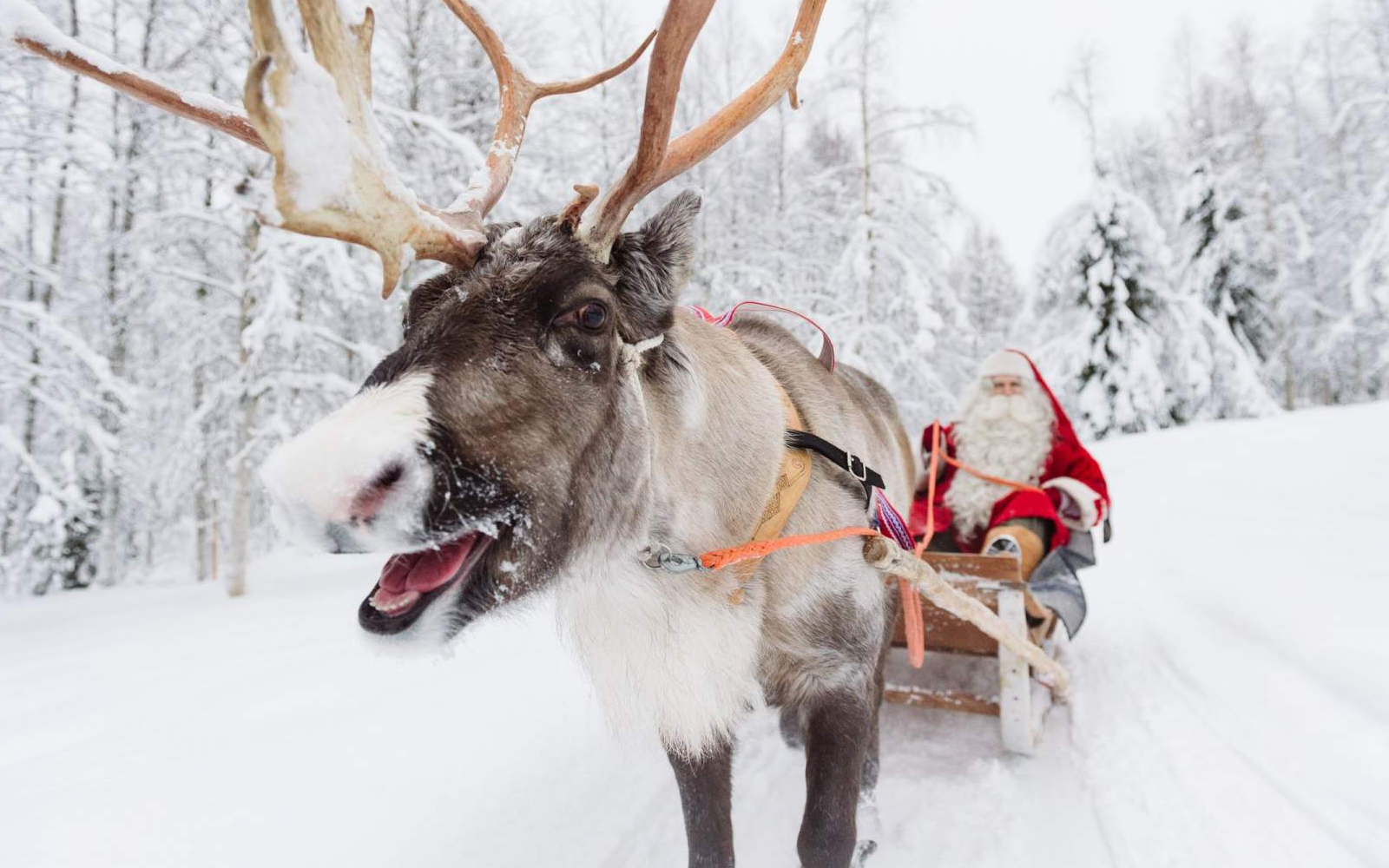 Te contamos dónde vive Papá Noel, para que lo visites en Laponia o en Suiza