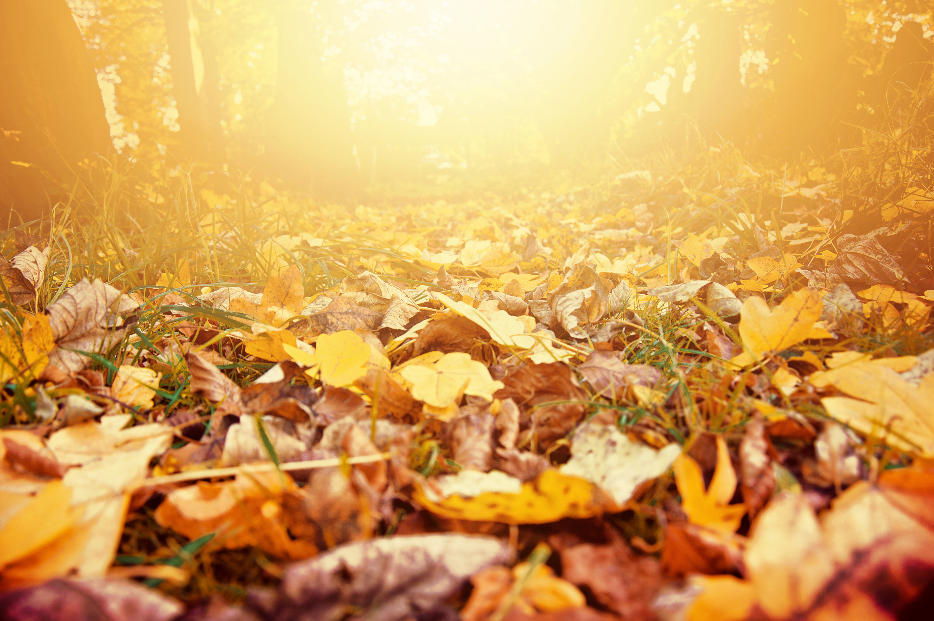 Hacer el Camino en octubre, una experiencia diferente